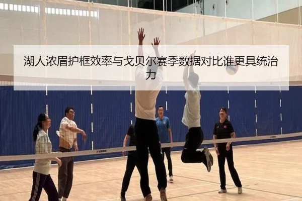湖人浓眉护框效率与戈贝尔赛季数据对比谁更具统治力