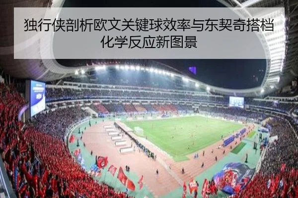 独行侠剖析欧文关键球效率与东契奇搭档化学反应新图景